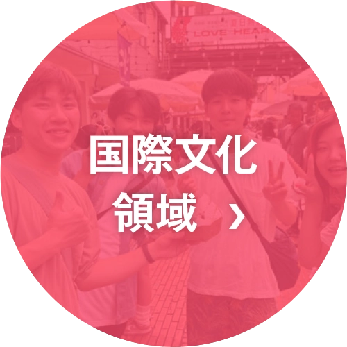 国際文化領域
