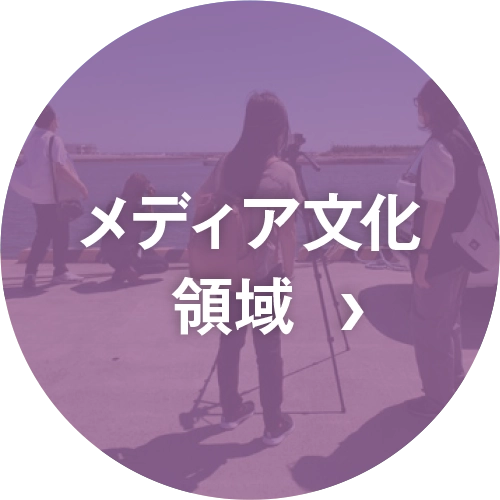 メディア文化領域
