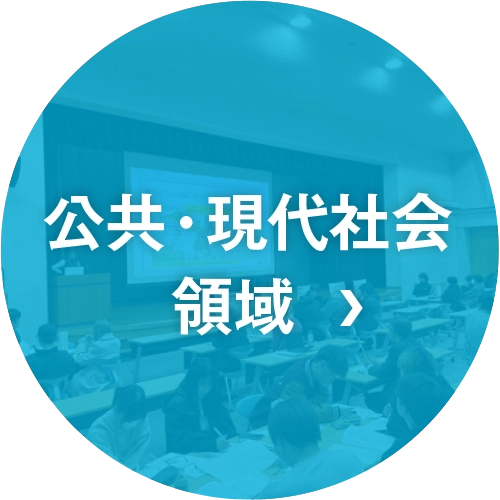 公共・現代社会領域