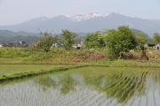 5月の蔵王(2019年5月､川崎町)